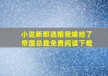 小说新郎逃婚我嫁给了帝国总裁免费阅读下载