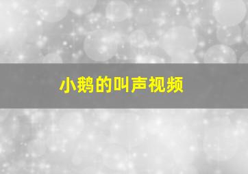 小鹅的叫声视频