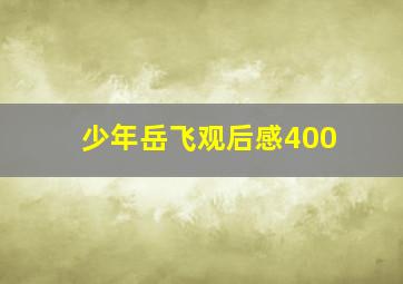 少年岳飞观后感400