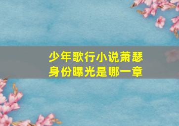 少年歌行小说萧瑟身份曝光是哪一章