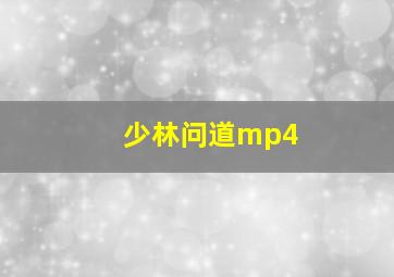 少林问道mp4