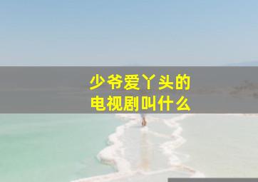 少爷爱丫头的电视剧叫什么