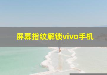 屏幕指纹解锁vivo手机