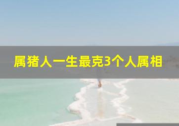 属猪人一生最克3个人属相