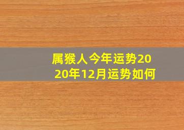 属猴人今年运势2020年12月运势如何