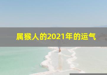 属猴人的2021年的运气