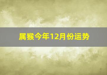 属猴今年12月份运势