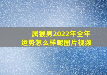 属猴男2022年全年运势怎么样呢图片视频