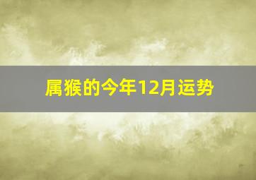 属猴的今年12月运势