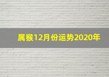 属猴12月份运势2020年