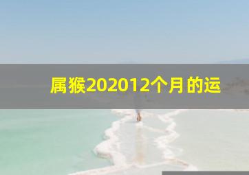 属猴202012个月的运