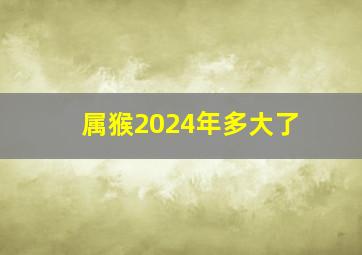 属猴2024年多大了