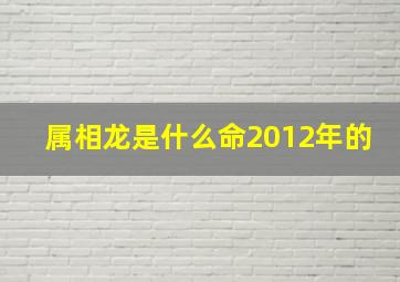 属相龙是什么命2012年的