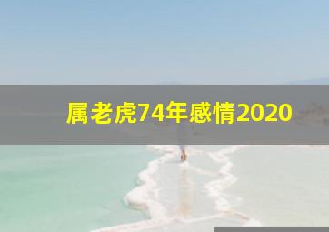 属老虎74年感情2020