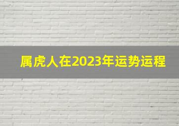 属虎人在2023年运势运程