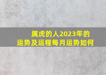 属虎的人2023年的运势及运程每月运势如何