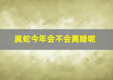 属蛇今年会不会离婚呢