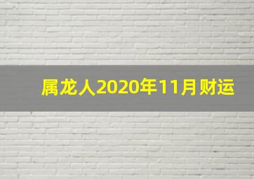 属龙人2020年11月财运