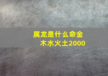 属龙是什么命金木水火土2000