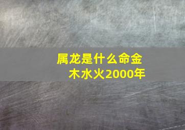 属龙是什么命金木水火2000年