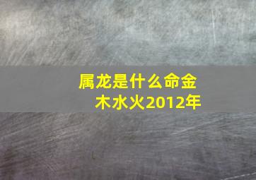 属龙是什么命金木水火2012年