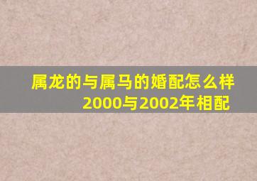 属龙的与属马的婚配怎么样2000与2002年相配