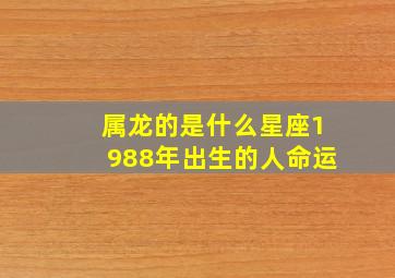 属龙的是什么星座1988年出生的人命运