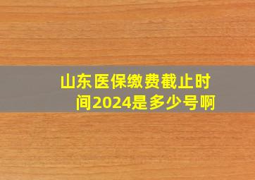 山东医保缴费截止时间2024是多少号啊