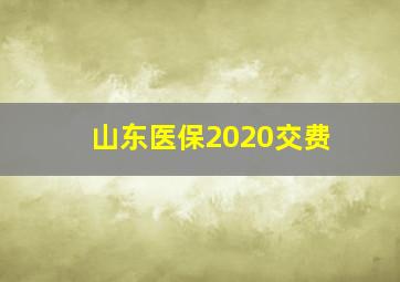 山东医保2020交费