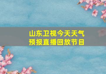 山东卫视今天天气预报直播回放节目