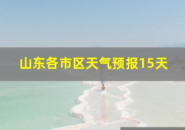 山东各市区天气预报15天