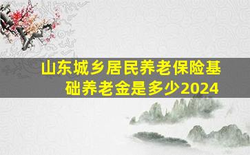 山东城乡居民养老保险基础养老金是多少2024