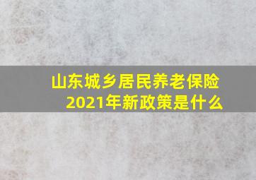 山东城乡居民养老保险2021年新政策是什么