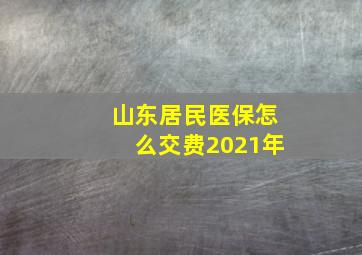 山东居民医保怎么交费2021年