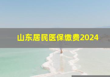 山东居民医保缴费2024