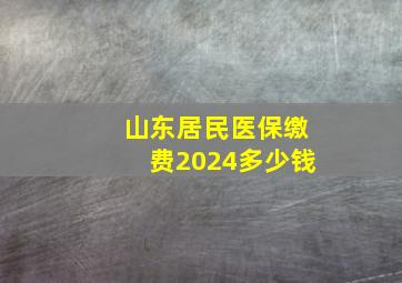 山东居民医保缴费2024多少钱