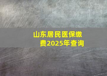 山东居民医保缴费2025年查询