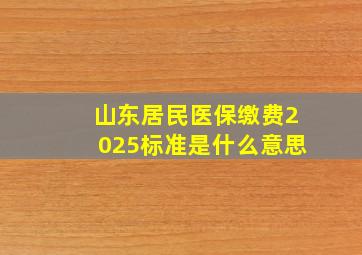 山东居民医保缴费2025标准是什么意思