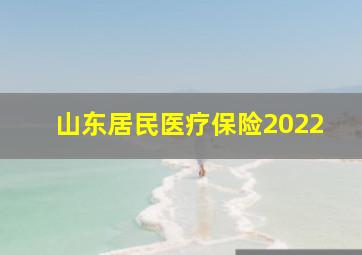 山东居民医疗保险2022