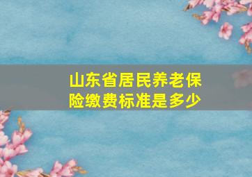 山东省居民养老保险缴费标准是多少