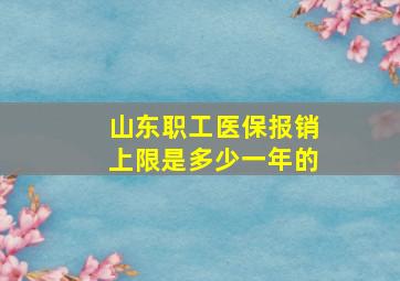 山东职工医保报销上限是多少一年的