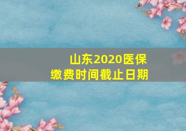 山东2020医保缴费时间截止日期