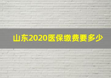 山东2020医保缴费要多少