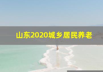 山东2020城乡居民养老