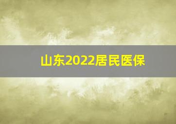 山东2022居民医保