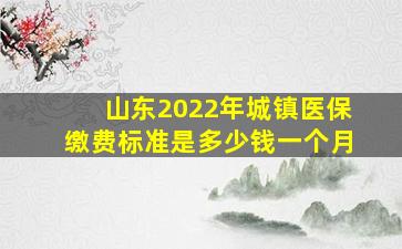 山东2022年城镇医保缴费标准是多少钱一个月