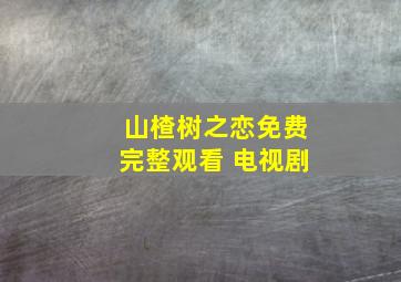 山楂树之恋免费完整观看 电视剧