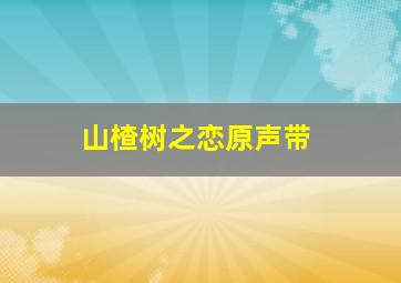 山楂树之恋原声带