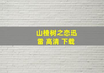 山楂树之恋迅雷 高清 下载