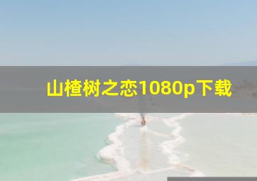 山楂树之恋1080p下载